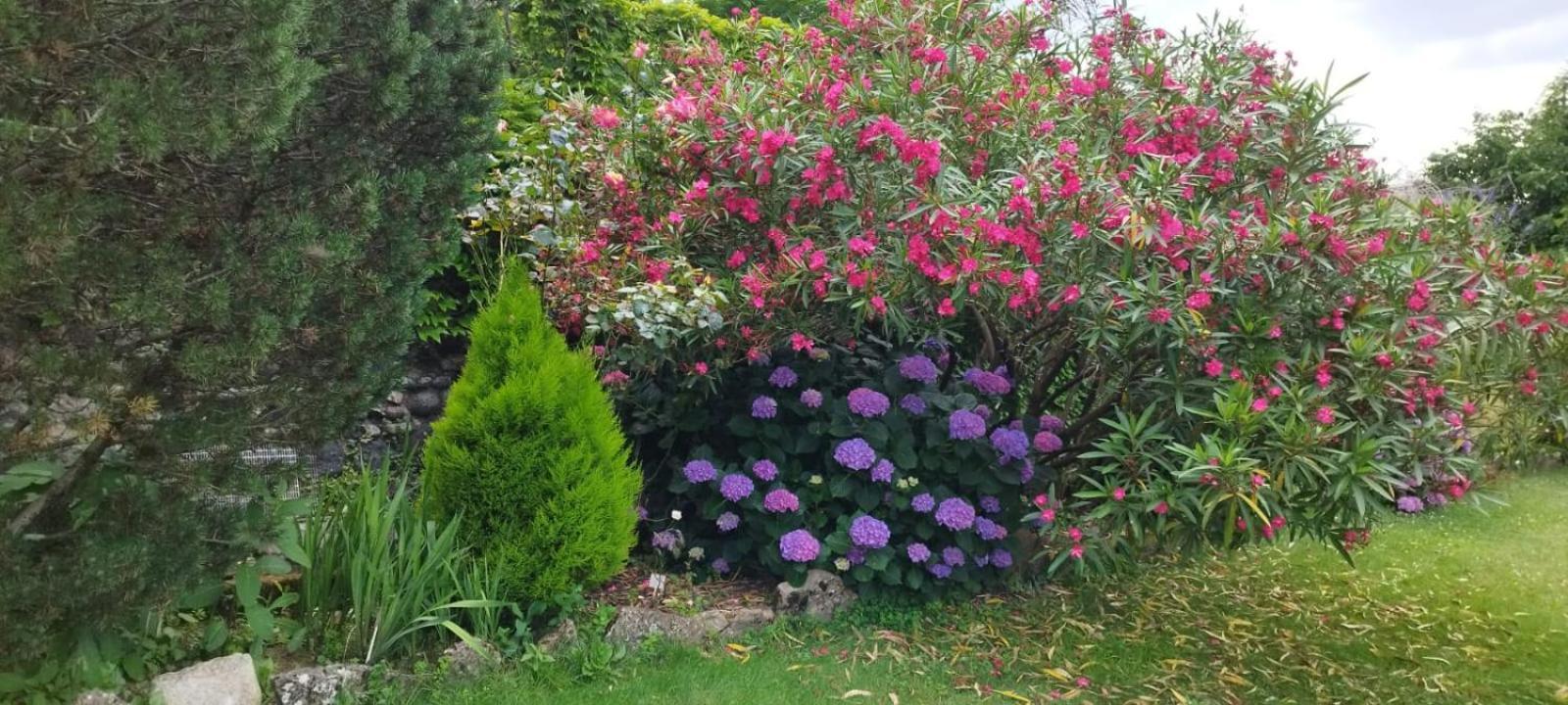 Gite 5 "Le Laurus" Aux Magnolias Aubenas Luaran gambar