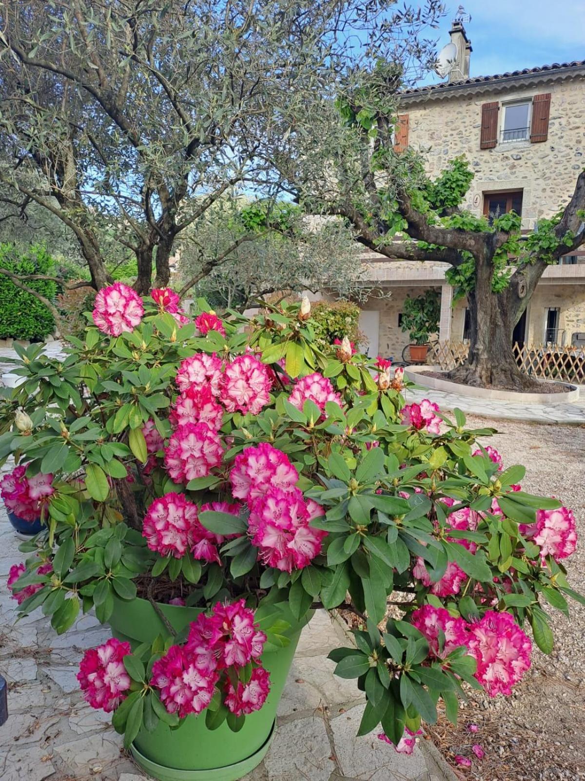 Gite 5 "Le Laurus" Aux Magnolias Aubenas Luaran gambar