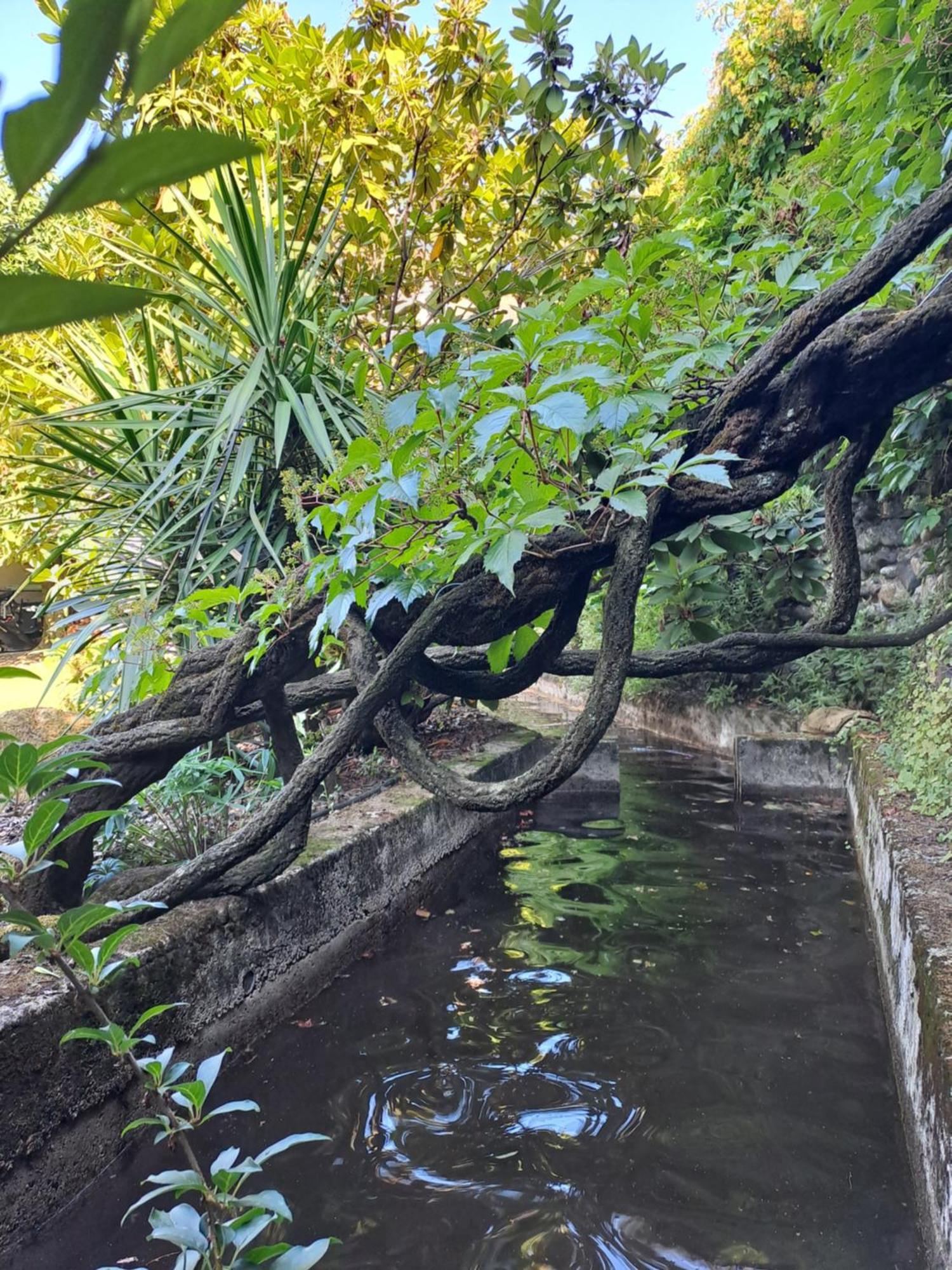 Gite 5 "Le Laurus" Aux Magnolias Aubenas Luaran gambar